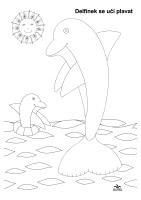 Delfínek se učí plavat